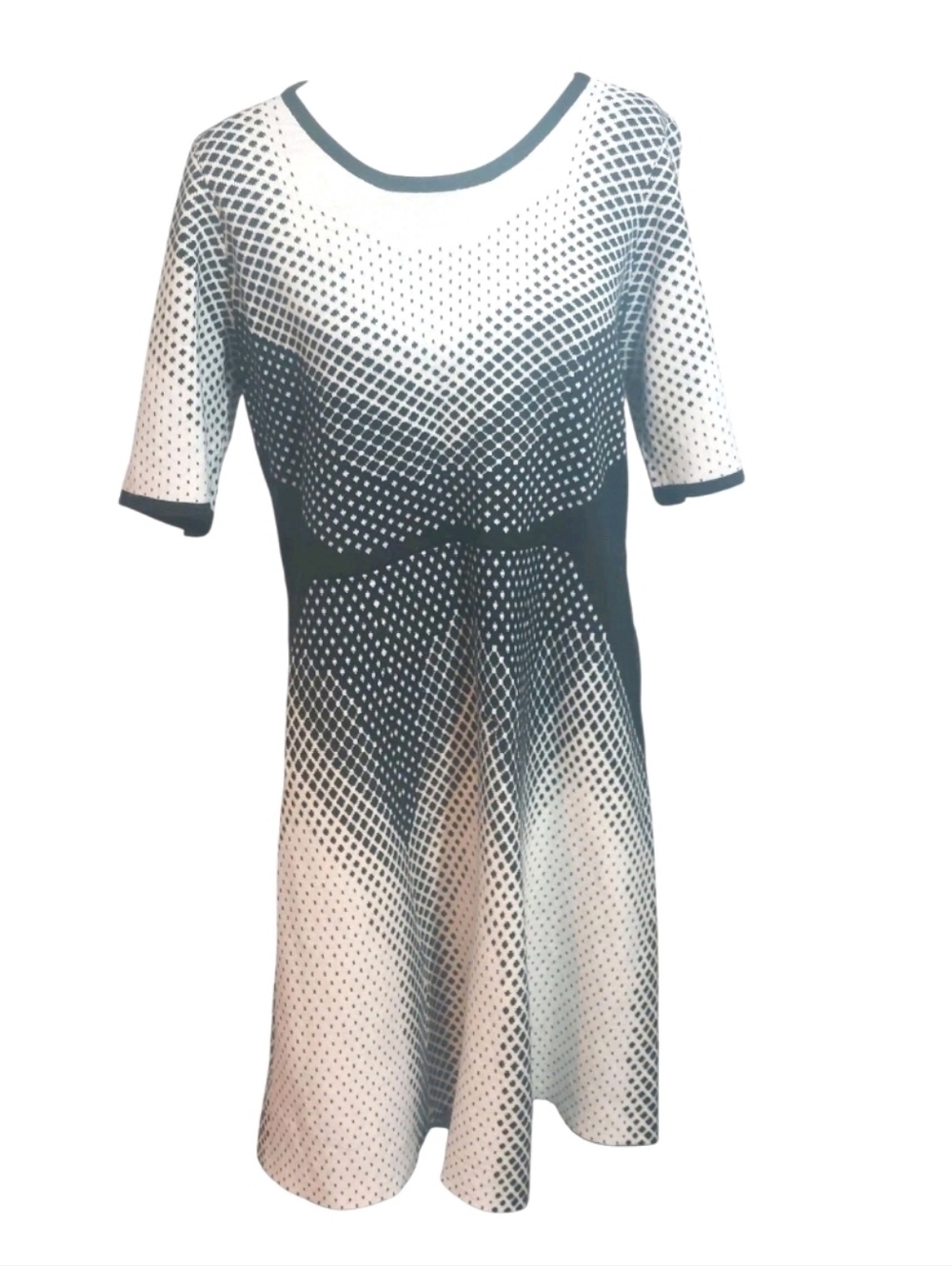 Black & White Dot-Gradient Fit and Flare Dress